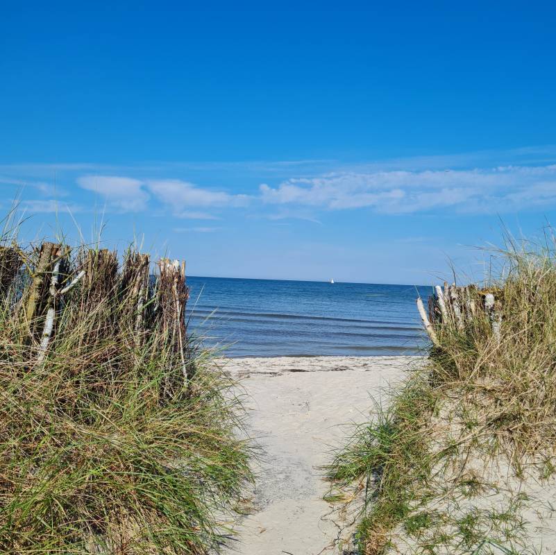 Stellplatz Schönberg Lamb Brasilien — Photo 6