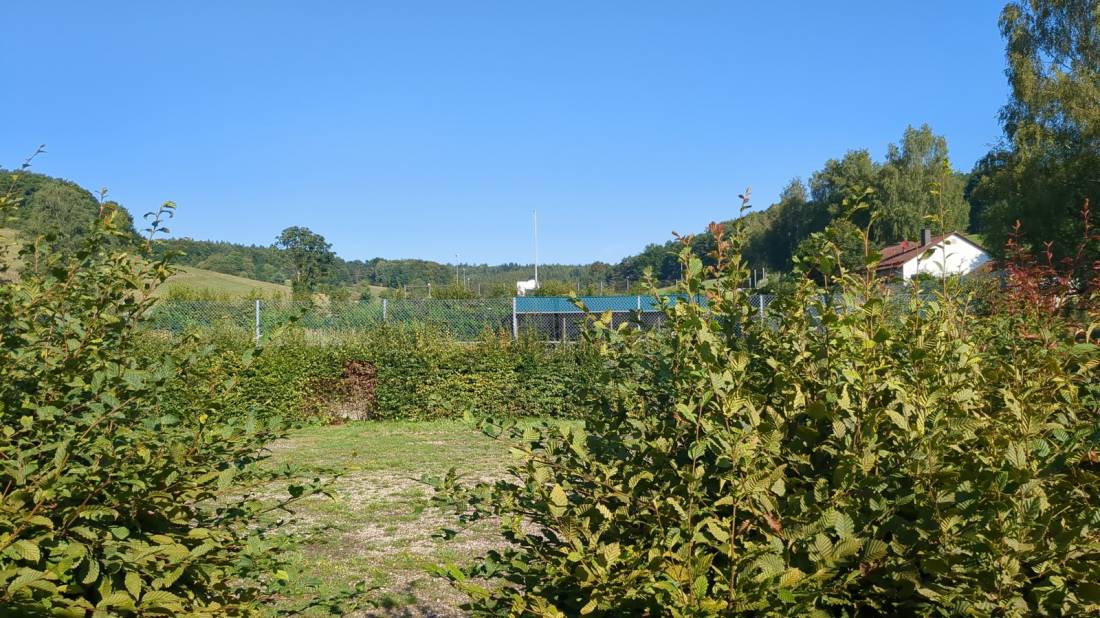 Stellplatz Freizeitanlage Heigenbrücker Weg Rothenbuch — Photo 6