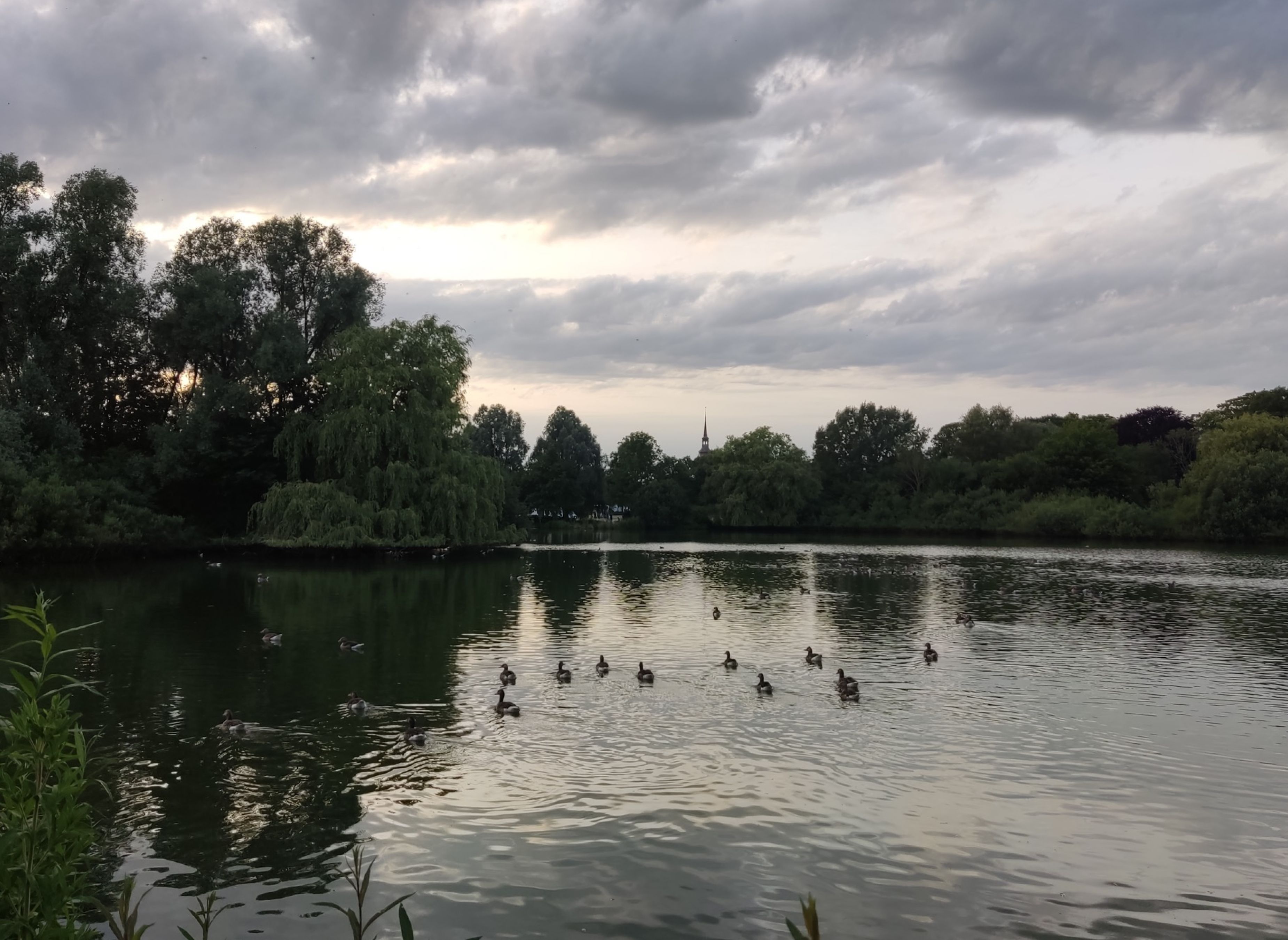 Malzmüllerwiesen Itzehoe (max 2.8t) — Photo 4