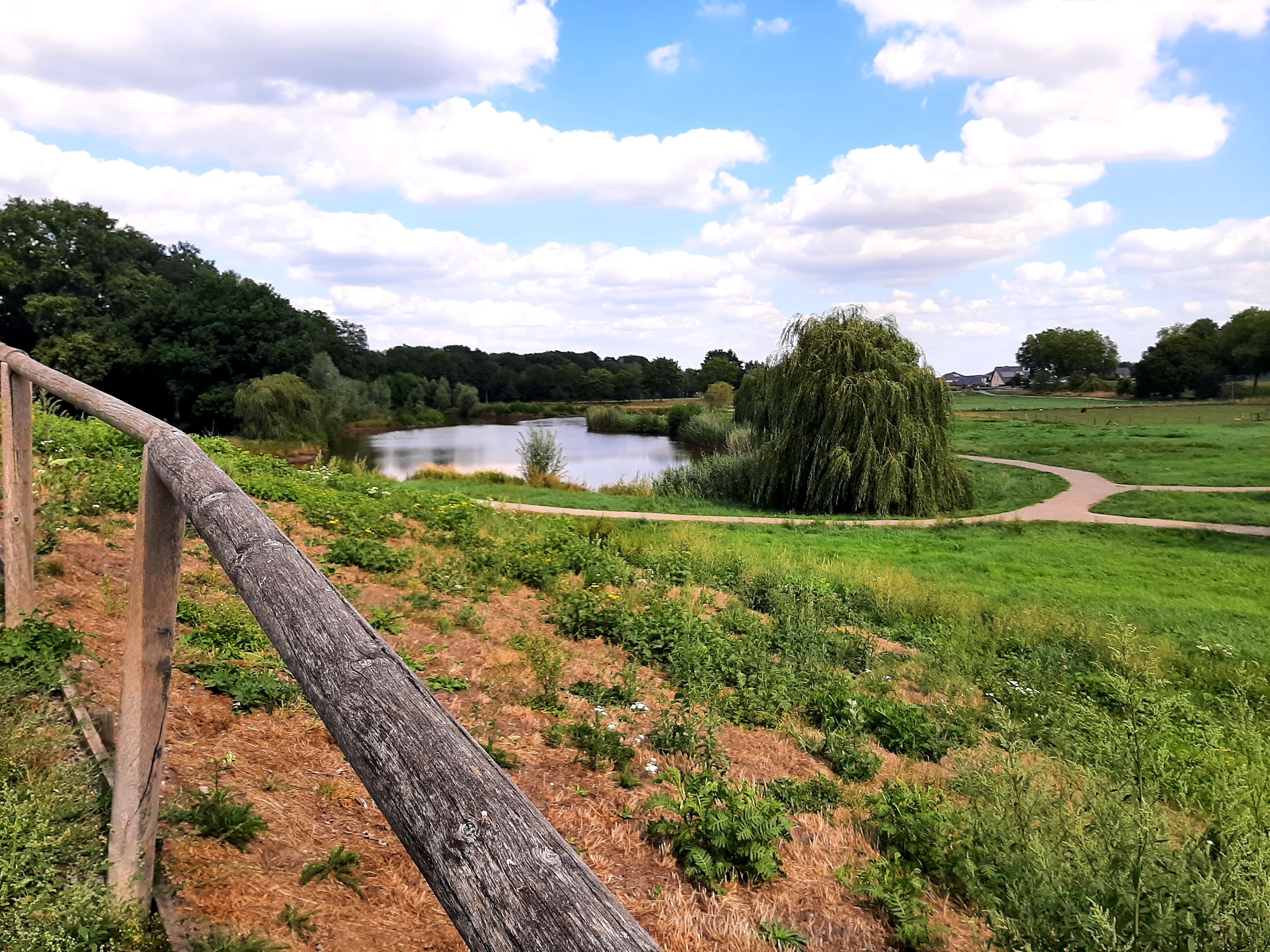 Stellplatz am Waldbad Steimbke