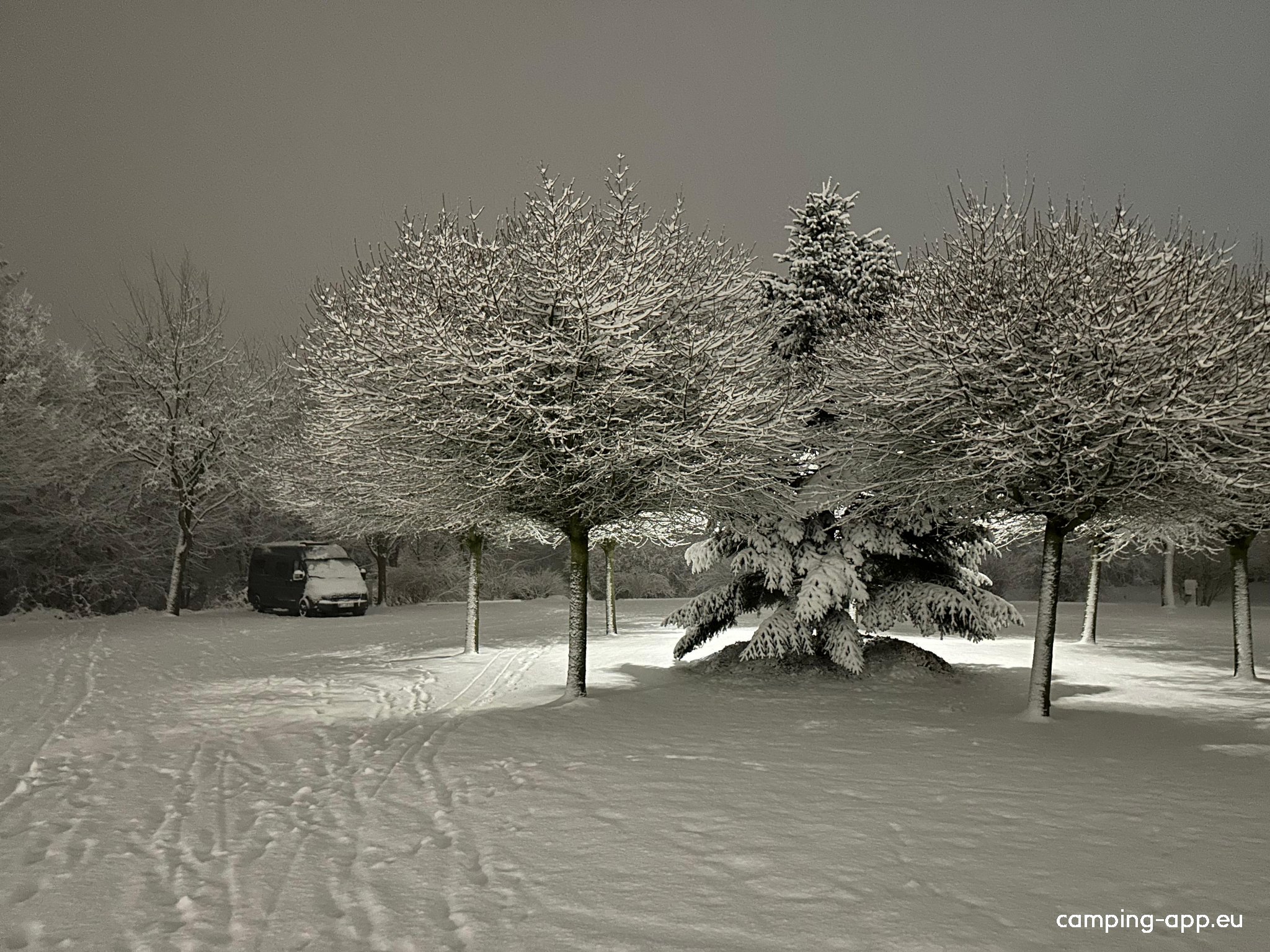 Stellplatz Heide — Photo 5