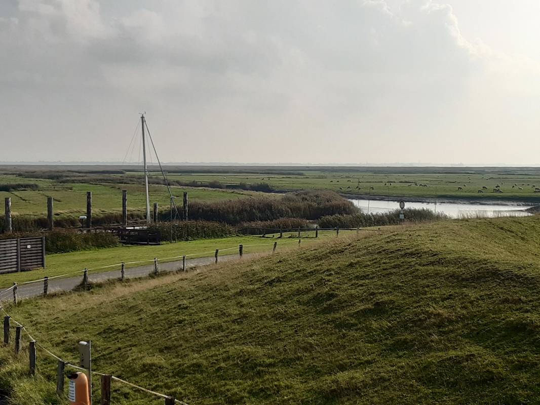 Stellplatz am Sportboothafen Neufeld — Photo 4