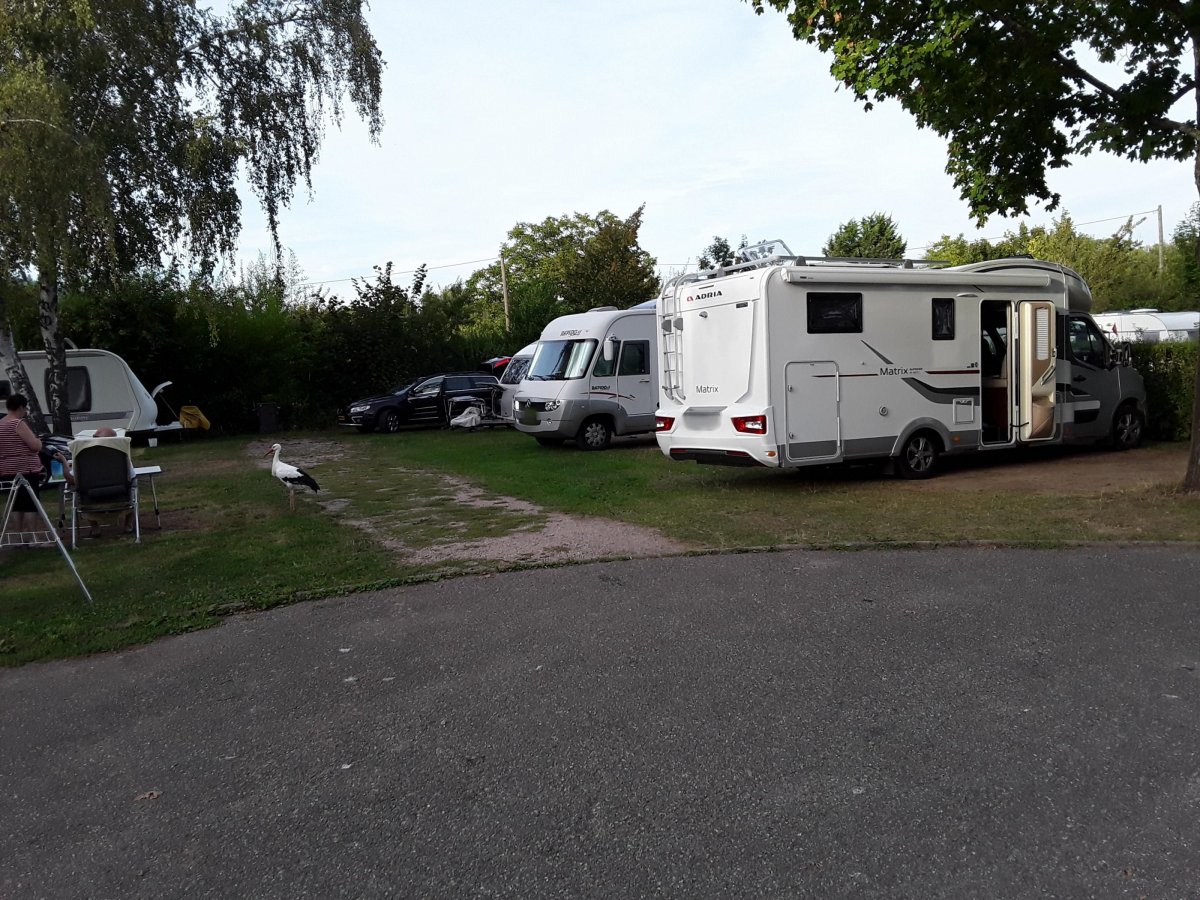 Camping Municipal de Ribauville **** — Photo 2