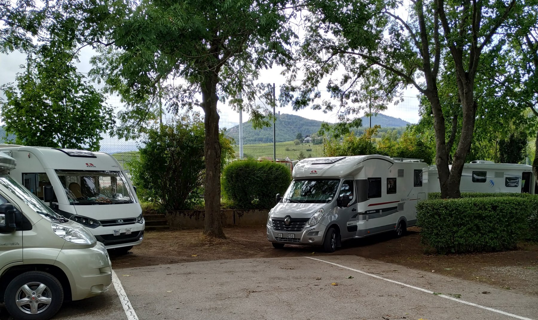 Camping Municipal de Ribauville **** — Photo 3