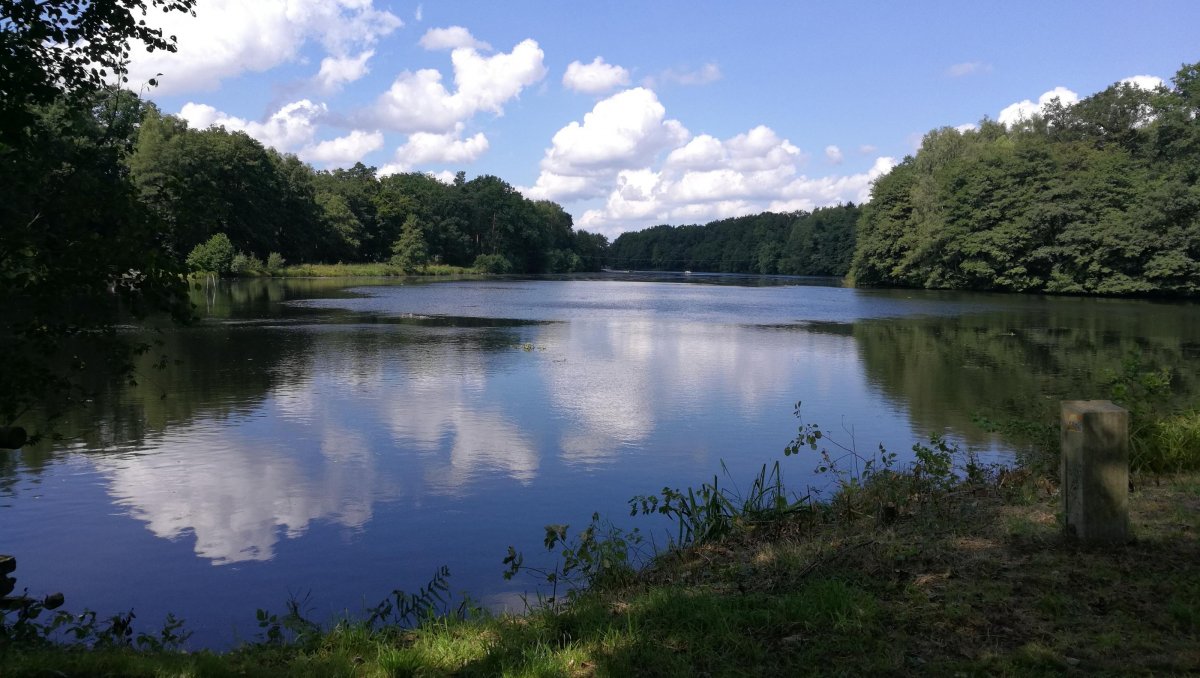 Wohnmobilstellplatz Kronsbergheide — Photo 2