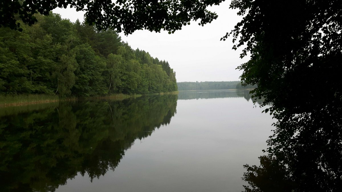 Camping Oase Waldsee