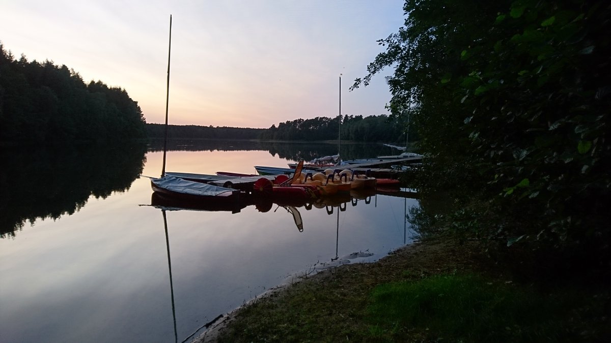 Camping Oase Waldsee — Photo 2