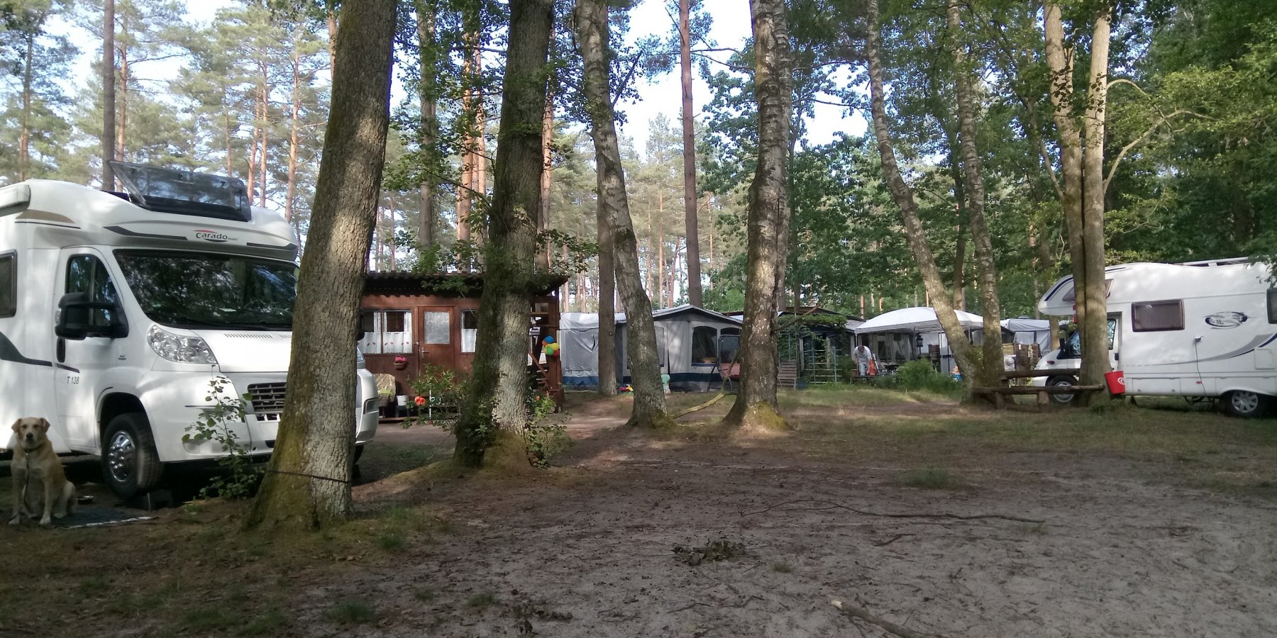 Camping Oase Waldsee — Photo 3