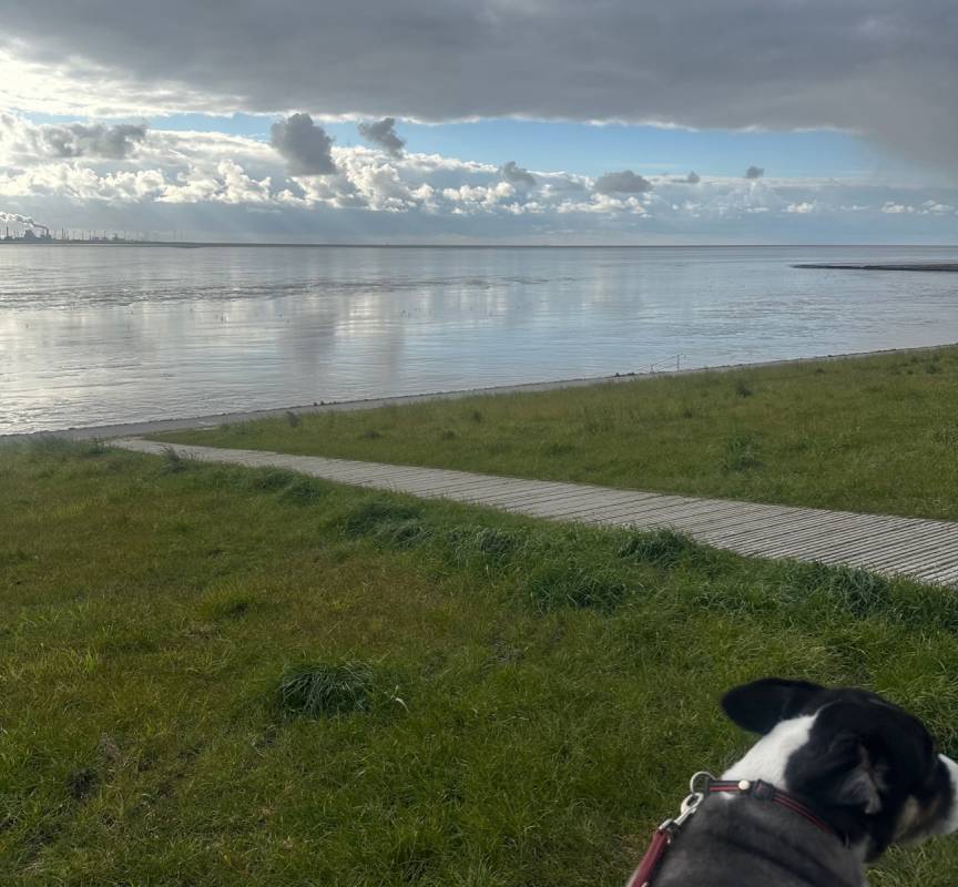 Camping am Deich Nordsee — Photo 5