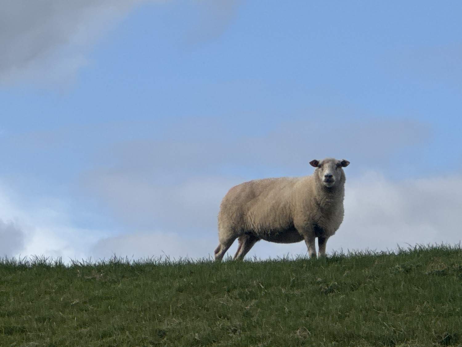 Ems-Marina-Camping — Campsite in Leer