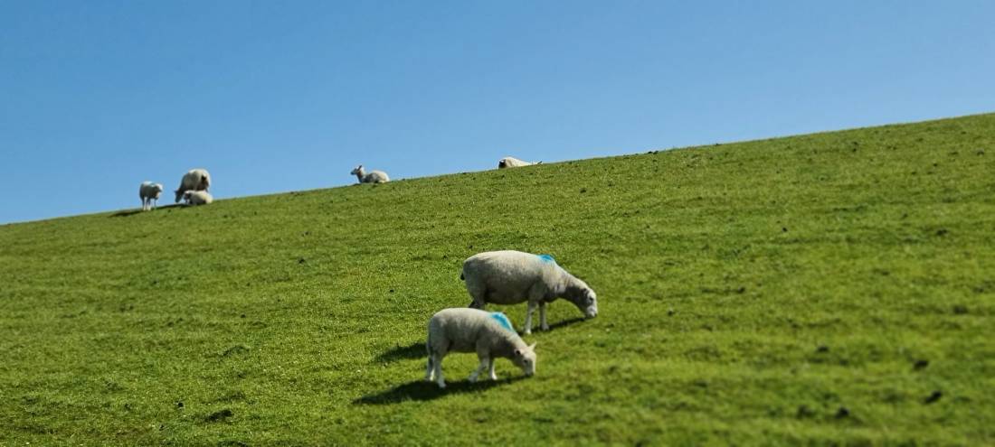 Wohnmobilstellplatz Emmelsbüll - Horsbüll — Photo 2