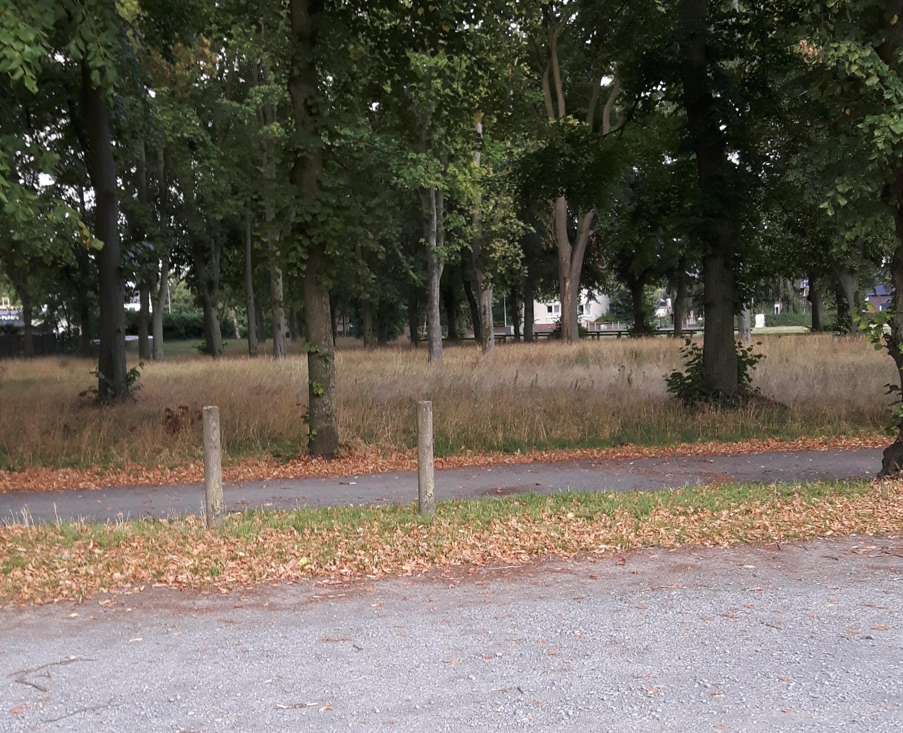 Stellplatz am Heldenhain — Photo 5