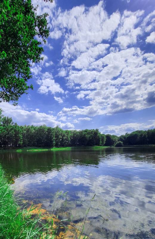 Stellplatz am Erikasee Esterwegen