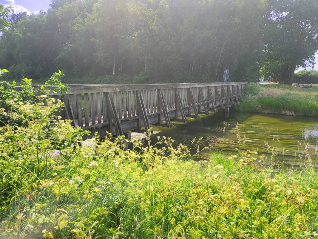 Stellplatz am Erikasee Esterwegen — Photo 3