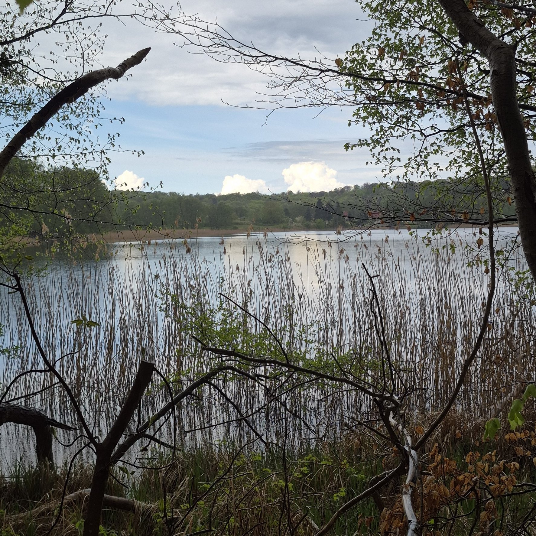 Camping am Bauernhof — Photo 5