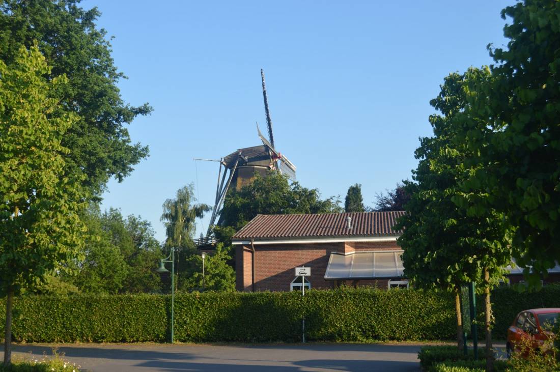 Stellplatz an der Kreutzmanns Mühle, Werlte — Photo 3