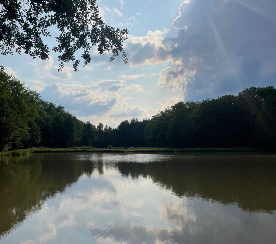 Stellplatz am Knaus Campingpark Hünfeld — Photo 2