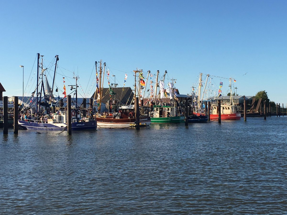 Henkens Reisemobil-Stellplatz  Butjadingen — Photo 2