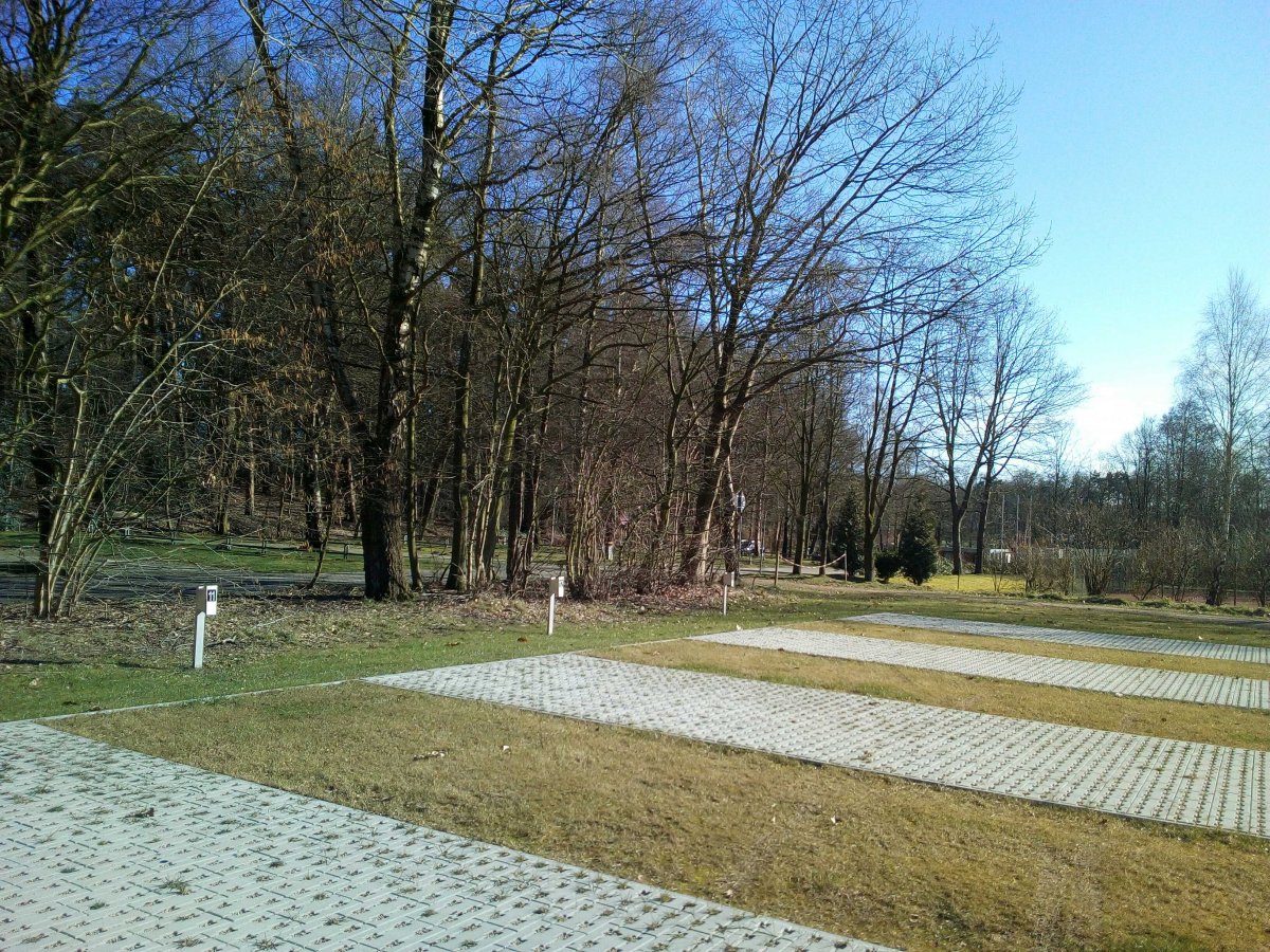 Stellplatz Am Waldbad Uelsen — Photo 2