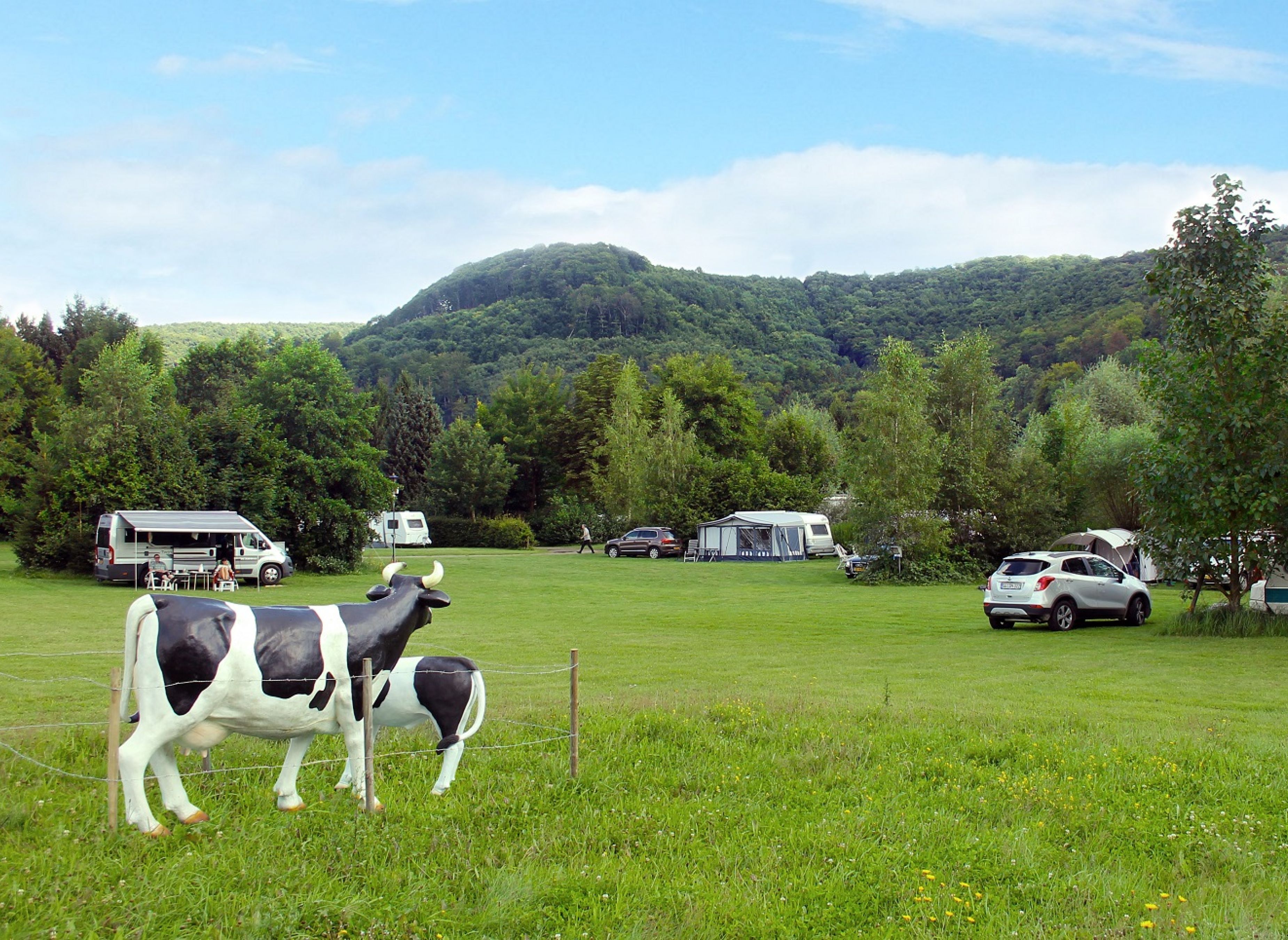 Campingpark Schellental — Photo 6