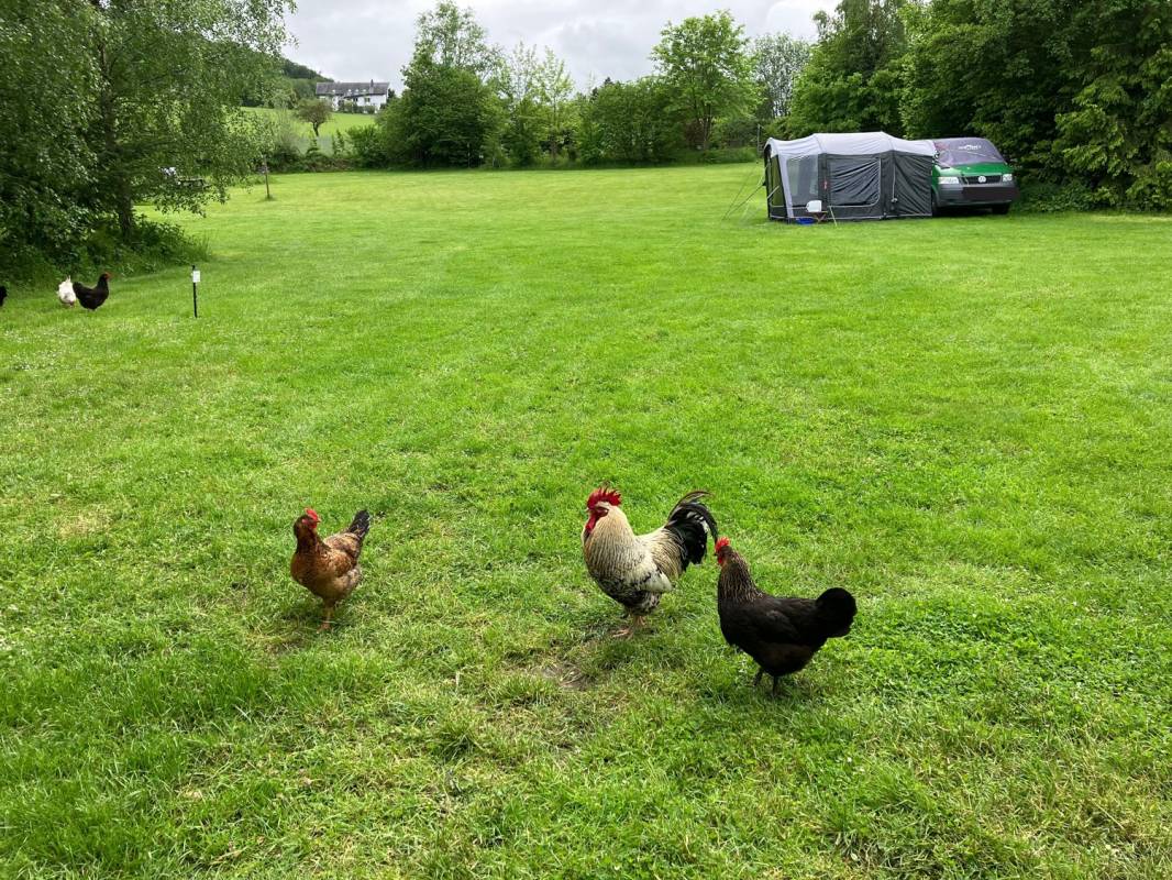 Campingpark Schellental — Photo 4