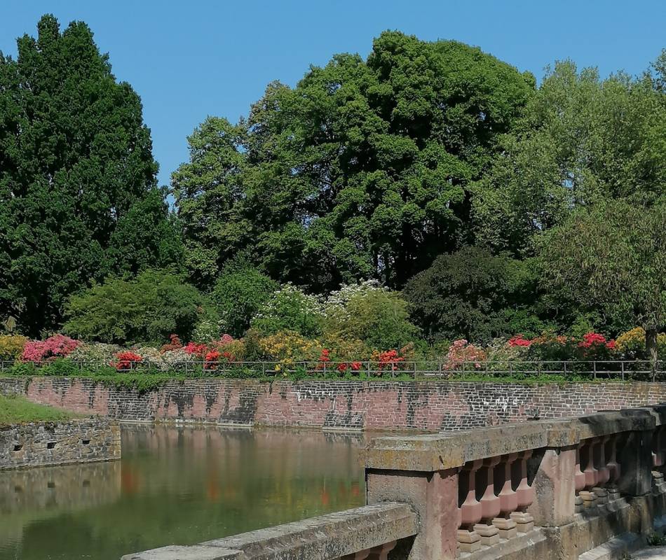 Reisemobilhafen an den Emmerauen Bad Pyrmont — Photo 6