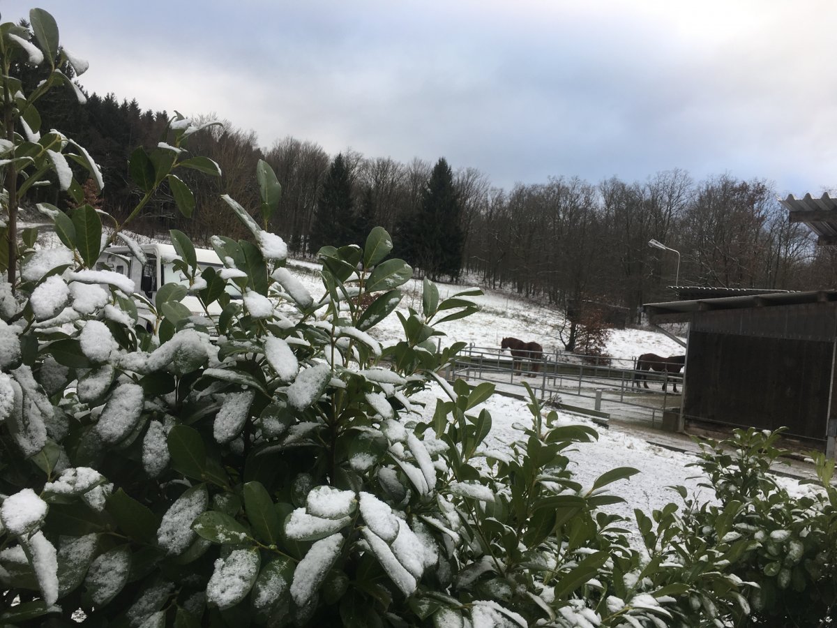 Stellplatz am Wielandshof Wilnsdorf — Photo 4