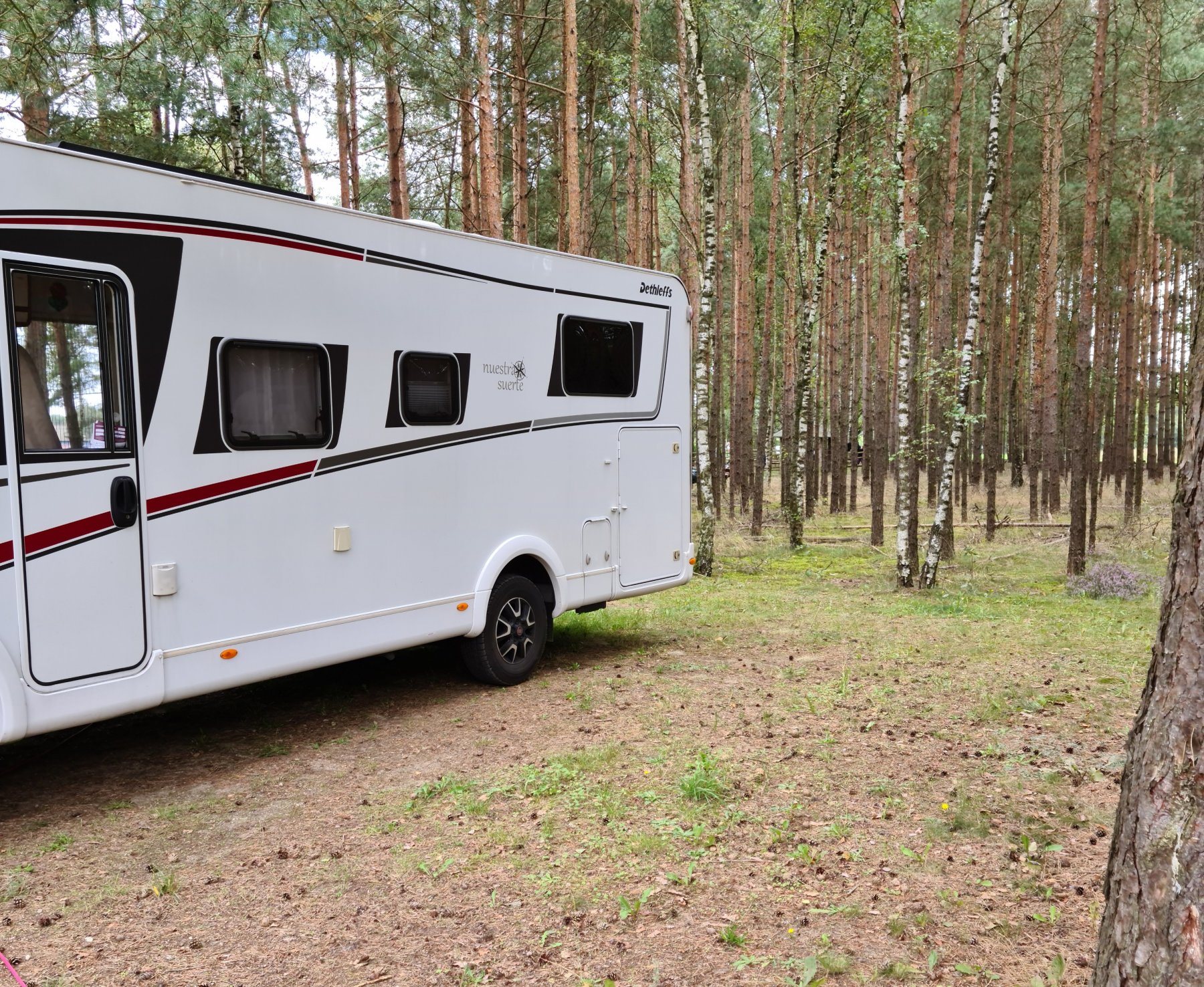 Stellplatz am Nemitzer Heidehaus Trebel — Photo 4