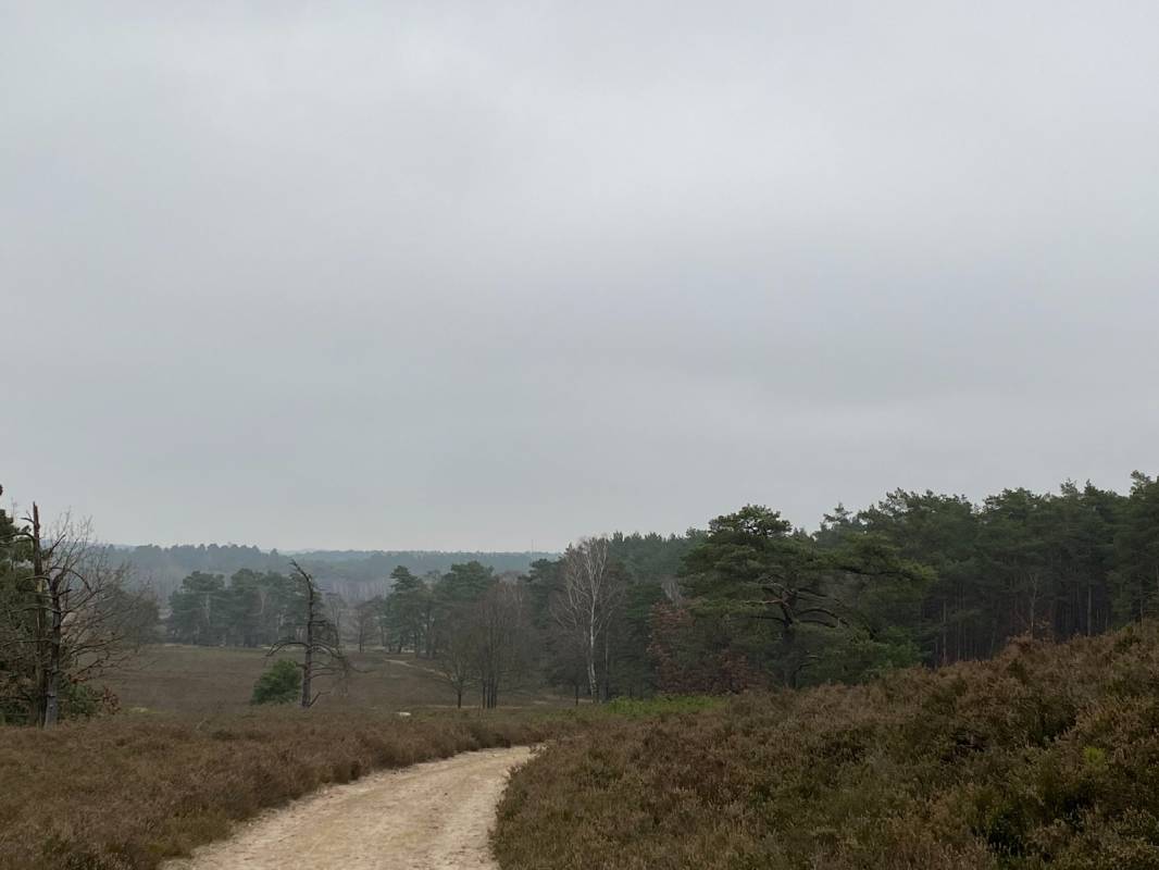 Stellplatz Schwindebecker Heide — Photo 3