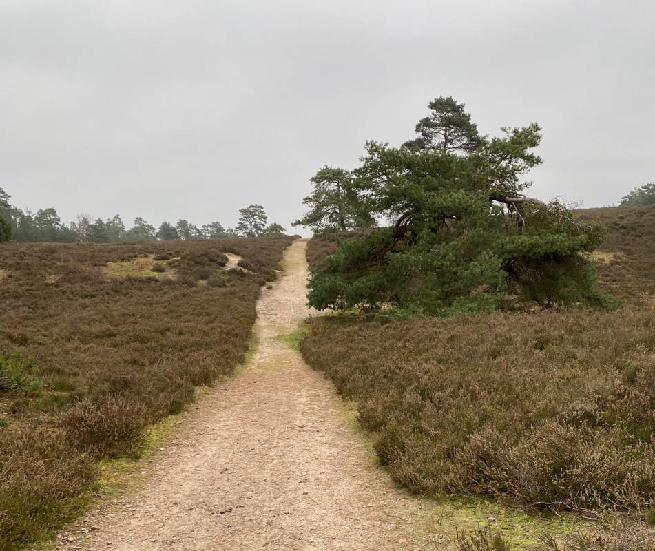 Stellplatz Schwindebecker Heide — Photo 6