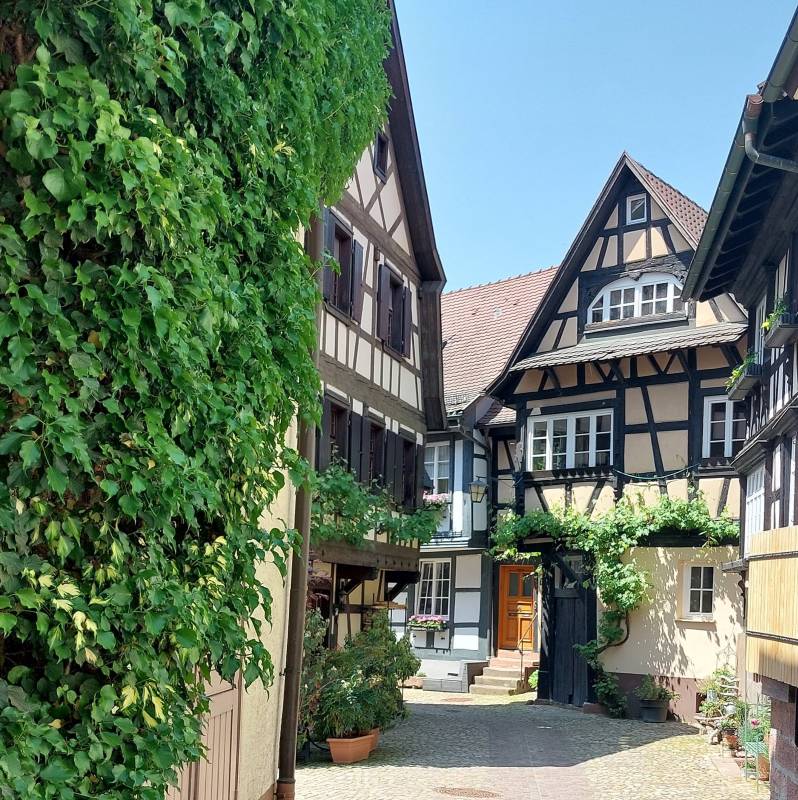 WoMo-Park Gengenbach — Photo 5