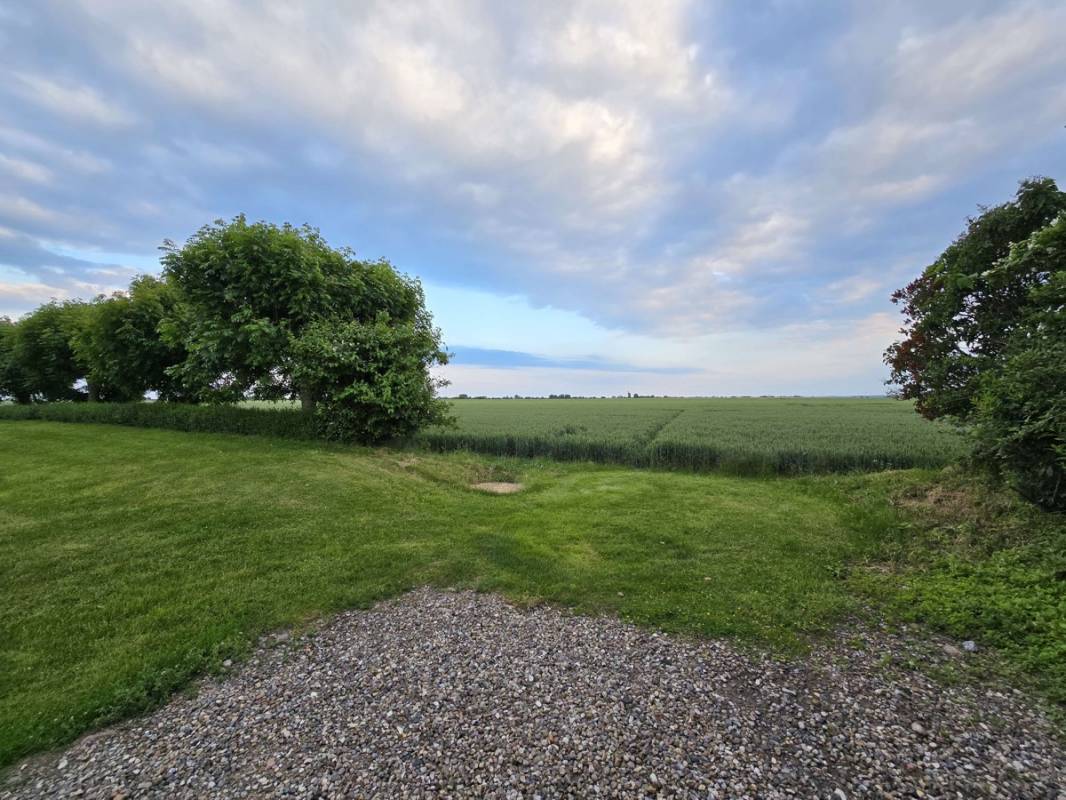 Stellplatz am Mittehof Höper Fehmarn — Photo 5