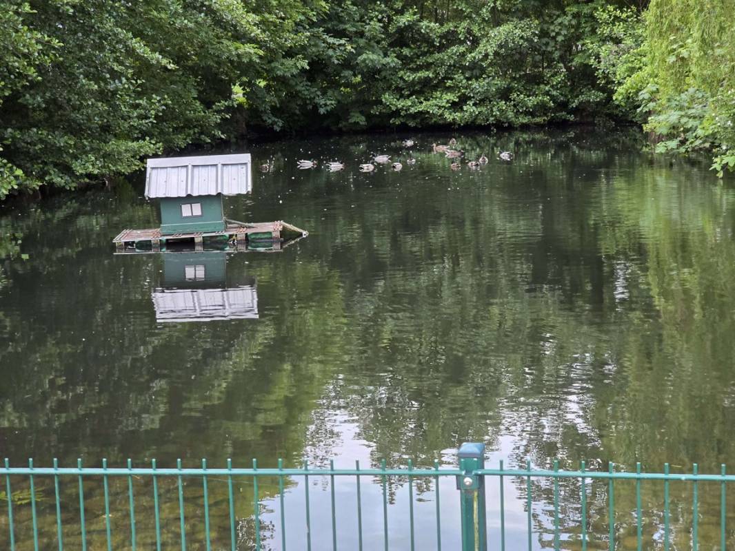 Stellplatz am Mittehof Höper Fehmarn — Photo 3