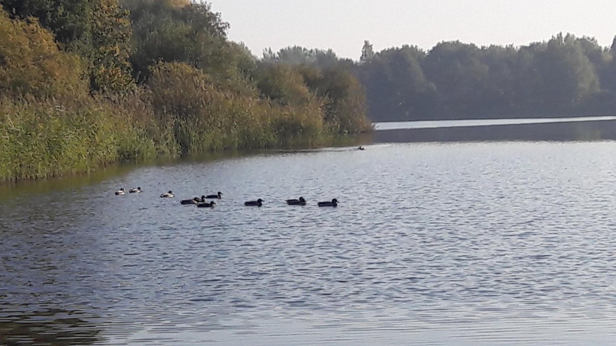 Stellplatz am Weichelsee Rotenburg — Photo 3