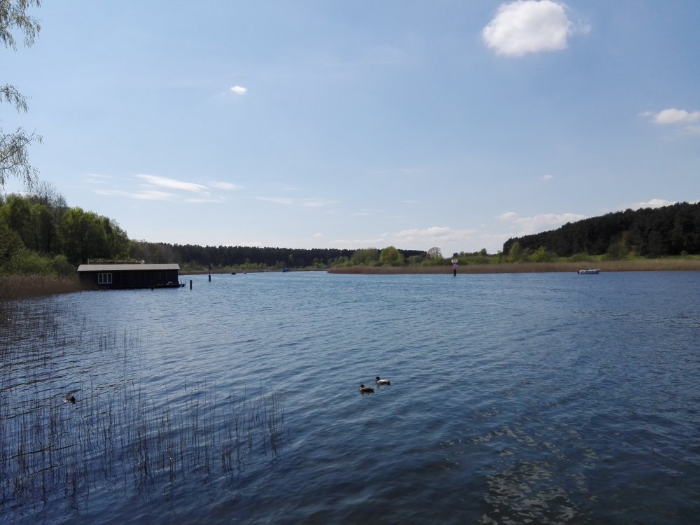 Bootshalle Malchow — Photo 3