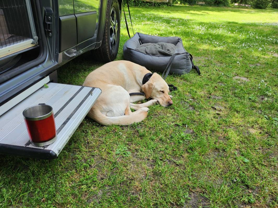 Wohnmobilhafen Naturcamping Malchow