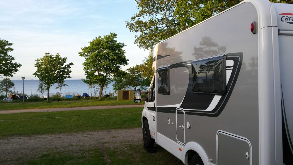 Stellplatz am Campingplatz Nordstern Norgaardholz — Photo 2