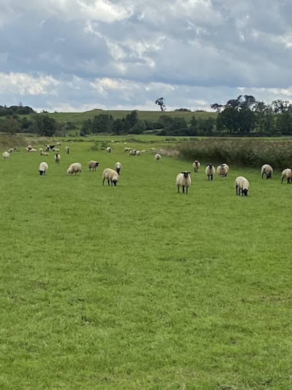 Stellplatz Pahlen — Photo 3