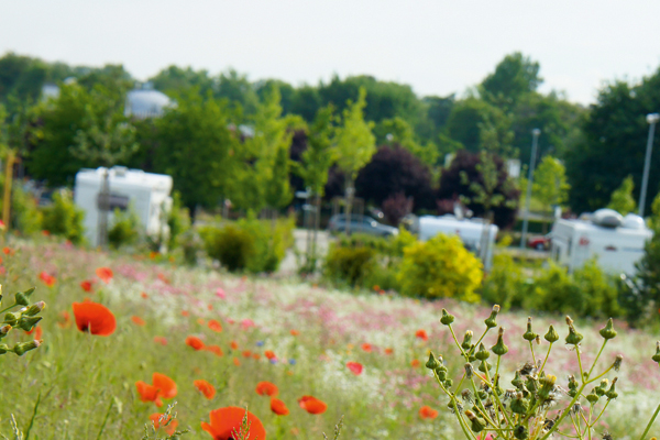 Stellplatz Vita Classica Bad Krozingen