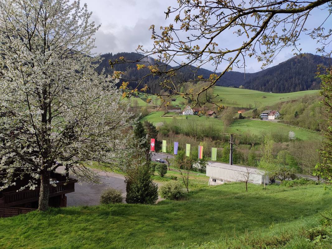 Trendcamping Wolfach — Photo 2