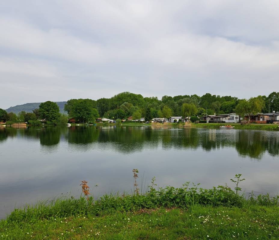 Campingplatz Schuttern — Photo 5