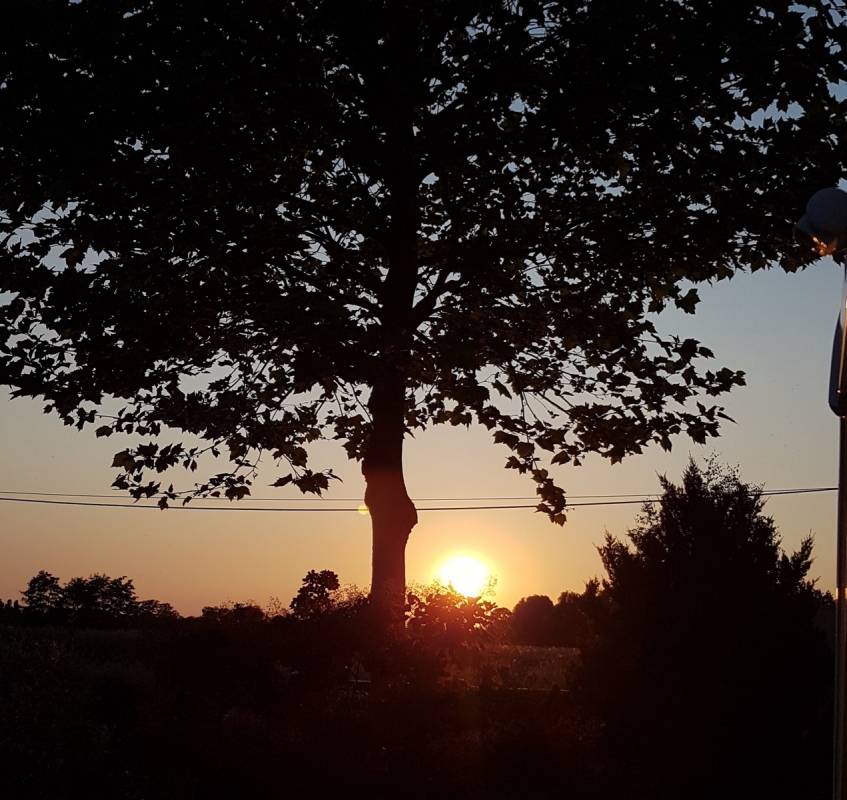 Stellplatz Hollenmühle Stemwede — Photo 6