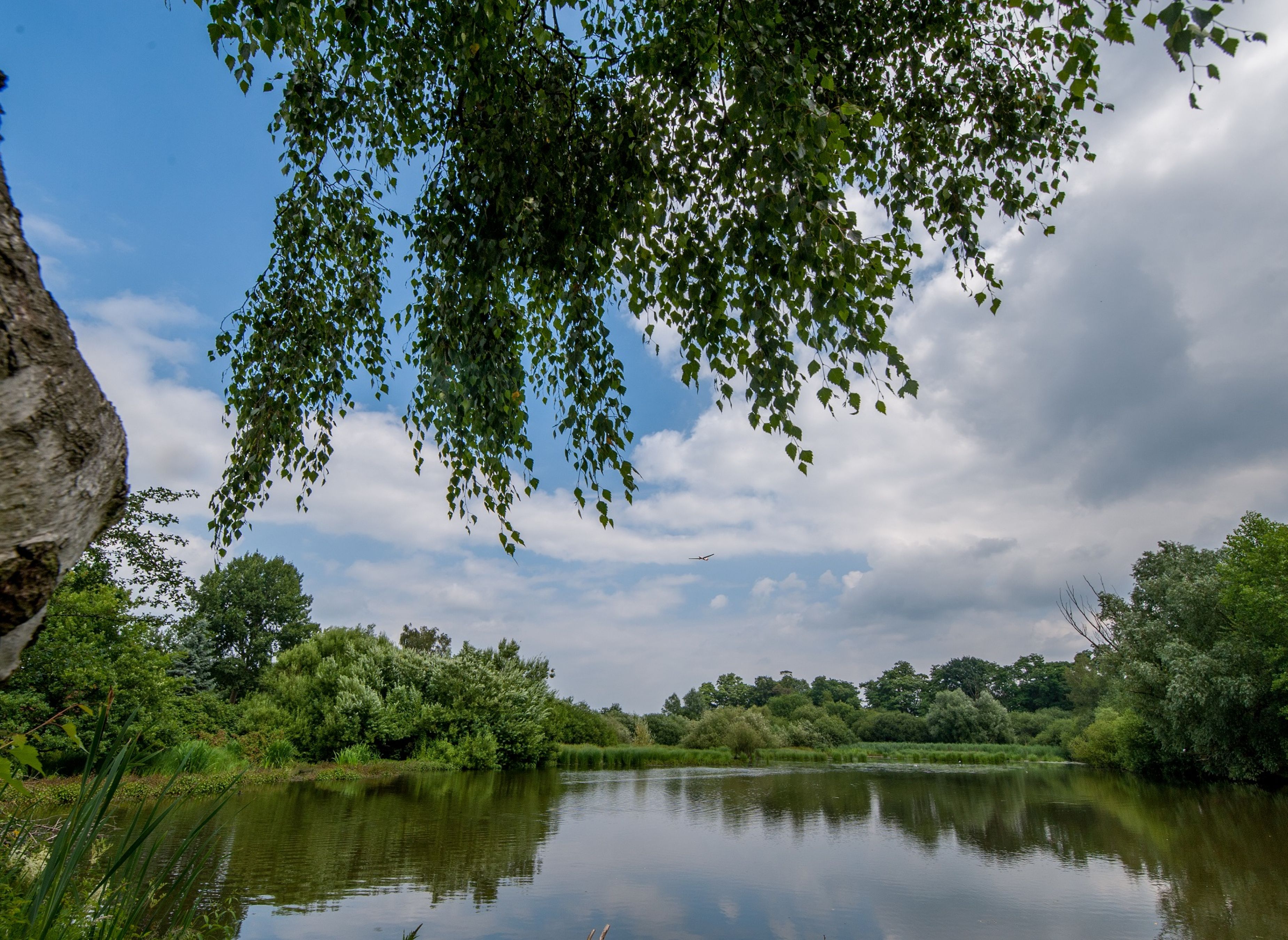 Reisemobilhafen An der Lippe — Photo 5