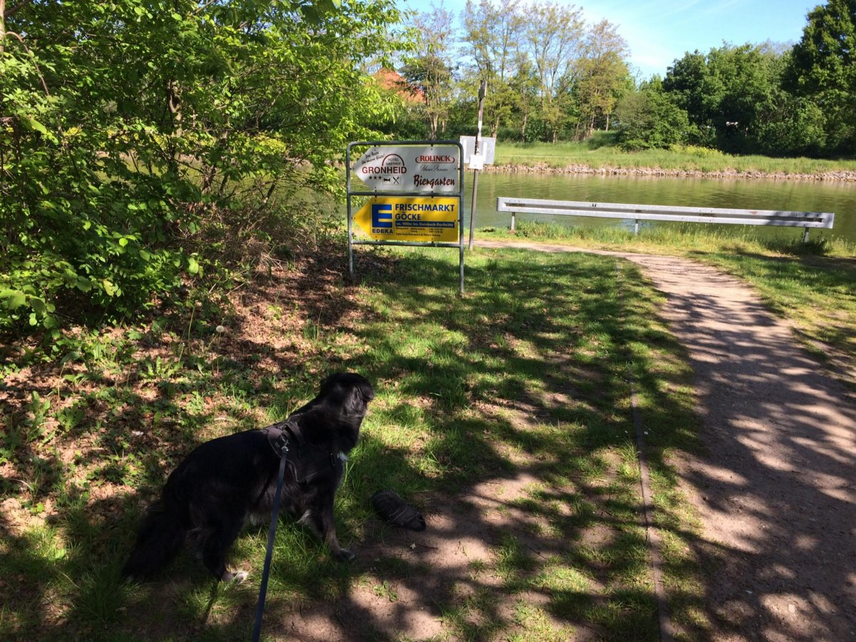 Stellplatz an der Marina Recke — Photo 6