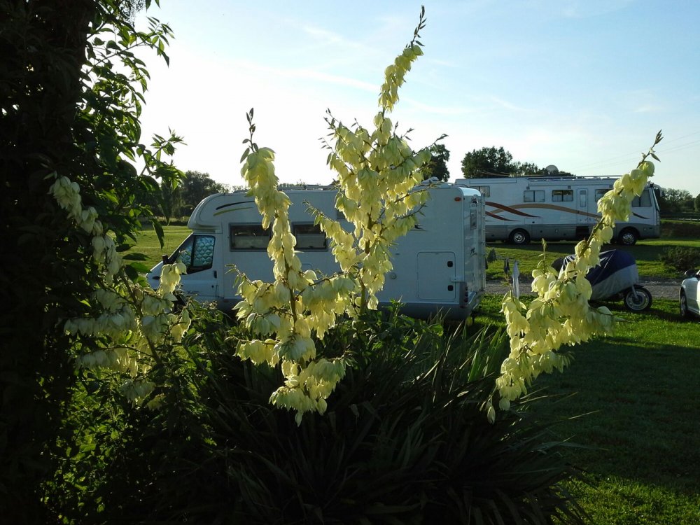 Womo Park Ortenau — Photo 6