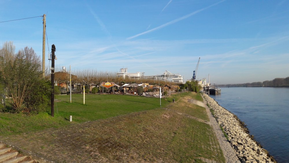 Stellplatz am Rhein Worms — Photo 3