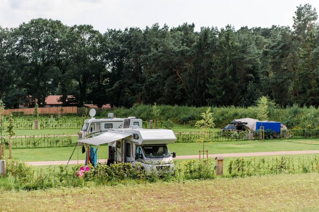 Stellplatz am Campingpark Südheide Winsen Aller — Photo 3