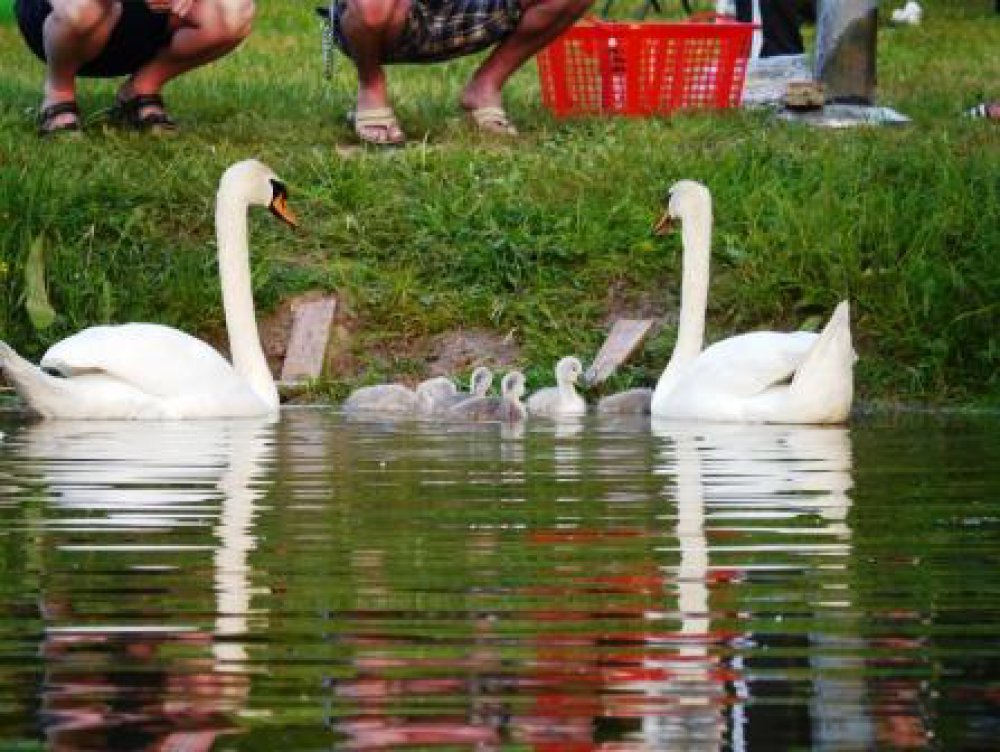 Reisemobilhafen am Gederner See — Photo 3