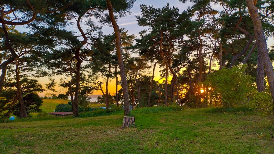 Campingplatz Gravelotte — Photo 5