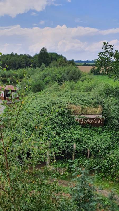 Stellplatz  Goldenstedter Moor — Photo 3